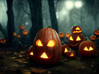 Halloween - Spaß oder Schrecken mit Folgen Teil 1