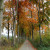 NEWSTART® - Kur (01.- 15.11.2026) Mecklenburg, D