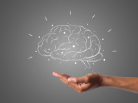 Master Mind Seminar (09.- 16.11.2025) Mecklenburg, D