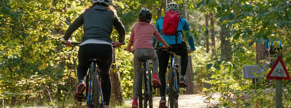 Wie stärke ich mein Immunsystem? Dr. Jochen Hawlitschek